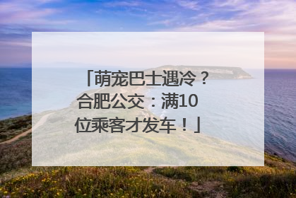 萌宠巴士遇冷？合肥公交：满10位乘客才发车！
